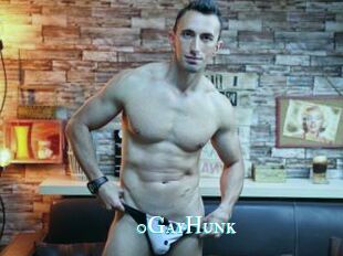 0GayHunk