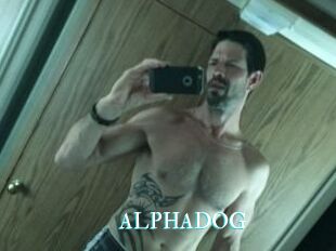 ALPHADOG
