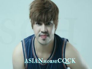 ASIANhorseCQCK