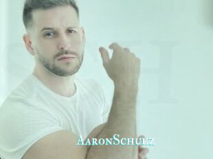 AaronSchulz