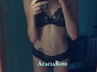 AcaciaRose