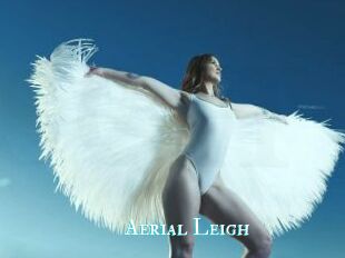Aerial_Leigh