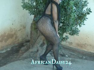 AfricanDaisy24
