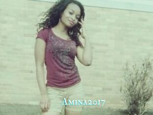 Amina2017