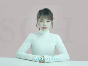 AminaGina