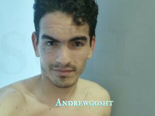 Andrewgosht