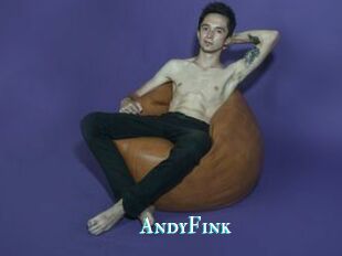 AndyFink