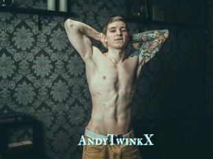 AndyTwinkX