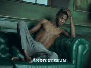 Andycuteslim
