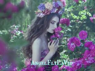 AngelFlyLaVid