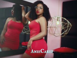 AnieCarey