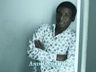 AnisReadyToPlay