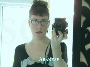 Araneae