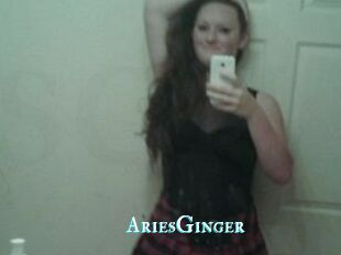 AriesGinger