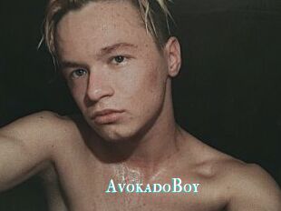 AvokadoBoy