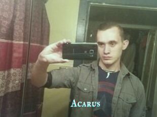 Acarus