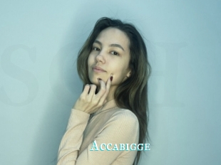 Accabigge