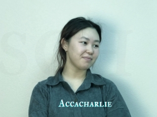 Accacharlie