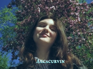 Accacurvin