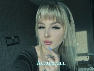 Accaexcell