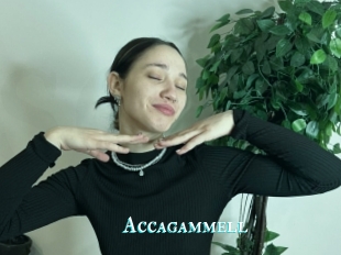 Accagammell