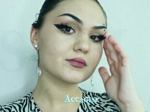 Accagise