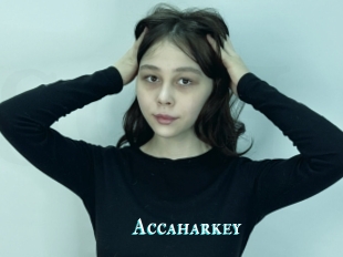 Accaharkey