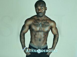 Alexandercolt