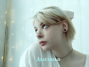Alicebird