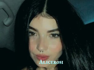 Alicerosi