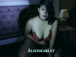 Alicescarlet