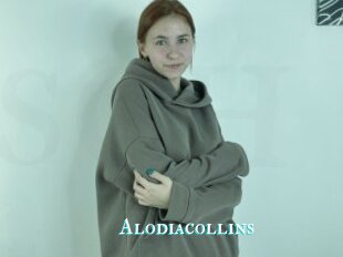 Alodiacollins