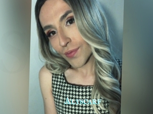 Alyscarf