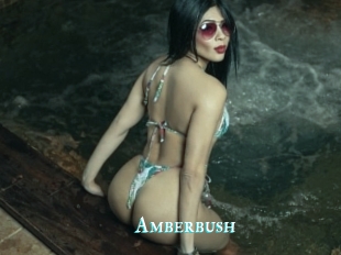 Amberbush