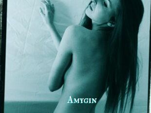 Amygin