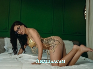 Analiaacam