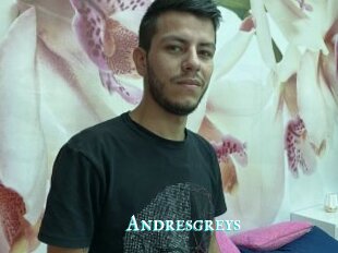 Andresgreys