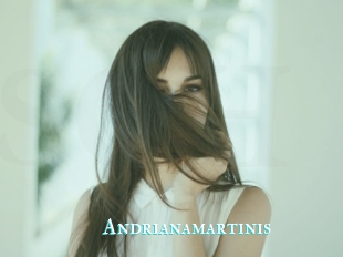 Andrianamartinis