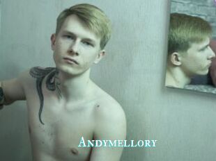 Andymellory