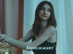 Angelicacant