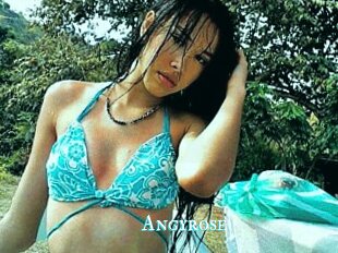 Angyrose