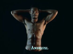 Anibigxl