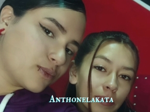 Anthonelakata