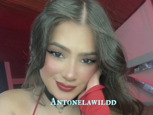 Antonelawildd