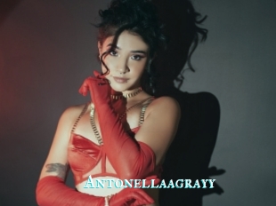 Antonellaagrayy