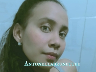 Antonellabrunettee