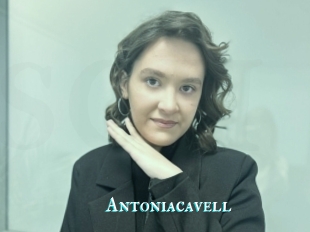 Antoniacavell