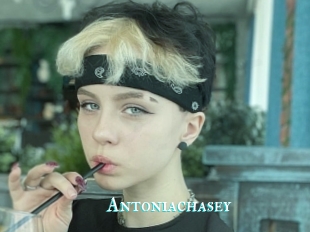 Antoniachasey