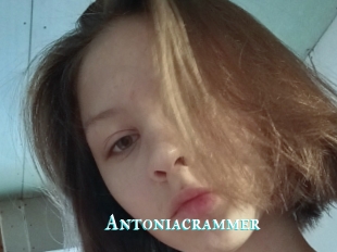 Antoniacrammer