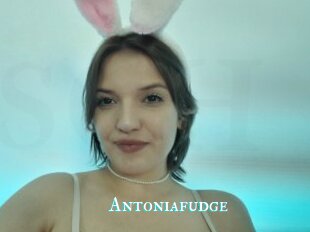 Antoniafudge